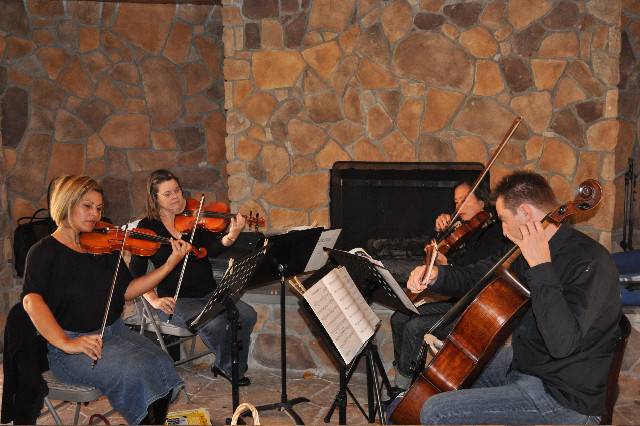 Gracenotes Chamber Music, LLC