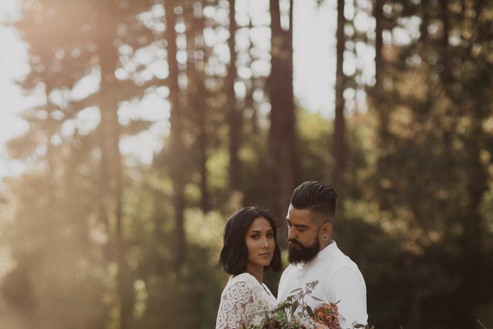 Mt Laguna Elopement