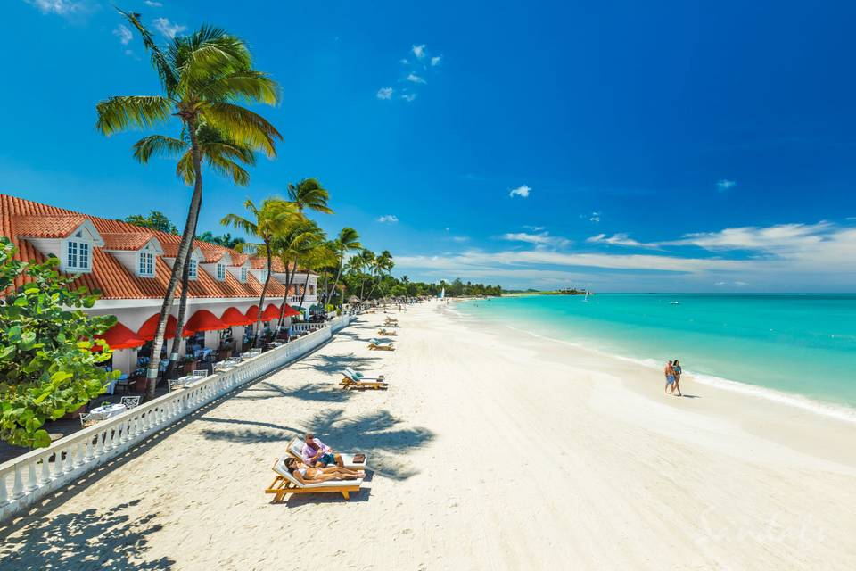 A view of the beach