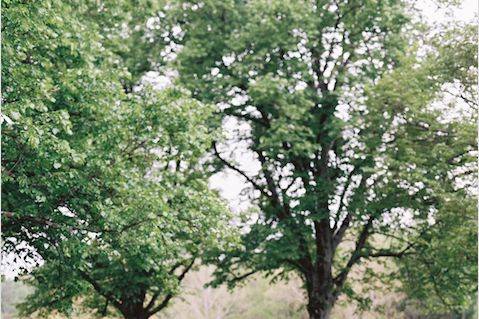 A Melodious Strings Trio performed for Charlene's and Ryan's ceremony at Castle Hill Cider earlier this May, performing such pieces as 