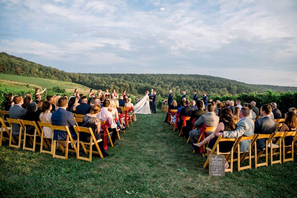 Photo & Flower Girl Photograph