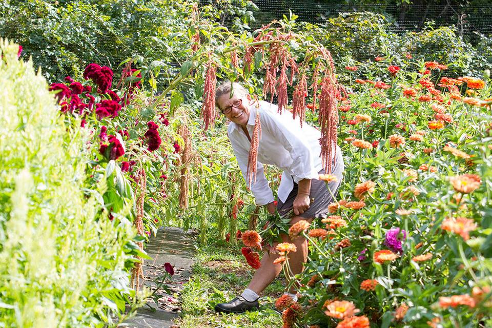 Suzy is our resident flower farmer