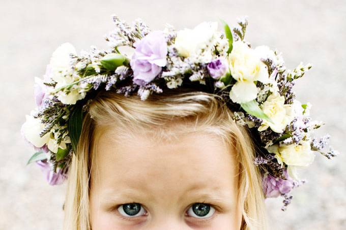 growing baby's breath — little farmhouse flowers