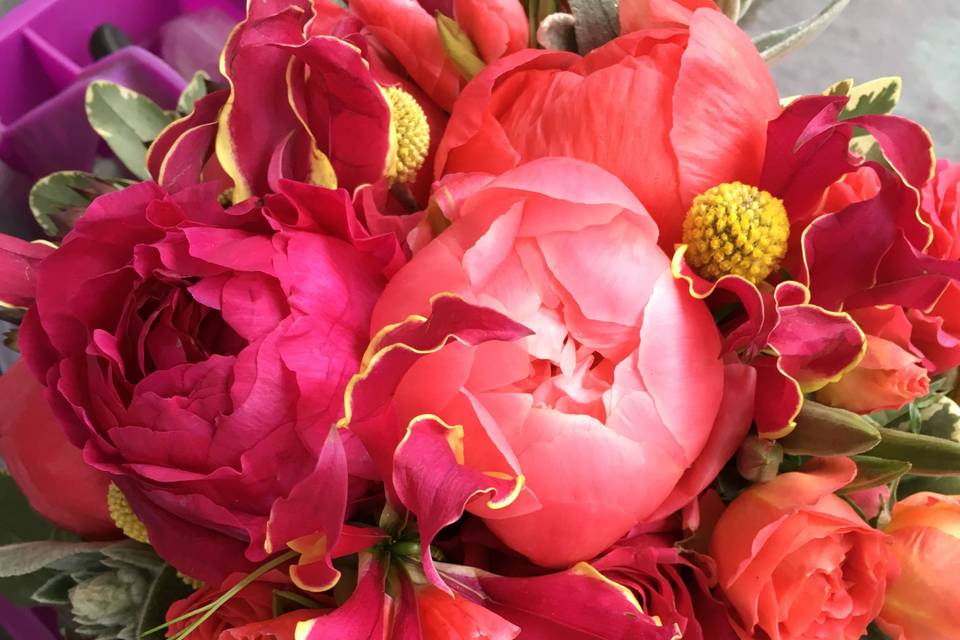 Coral peonies with sweet peas