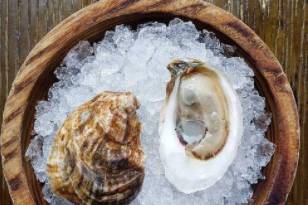 Sea Cloud Single Oysters