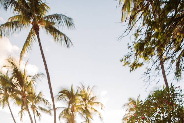 Napili Lawn Couple