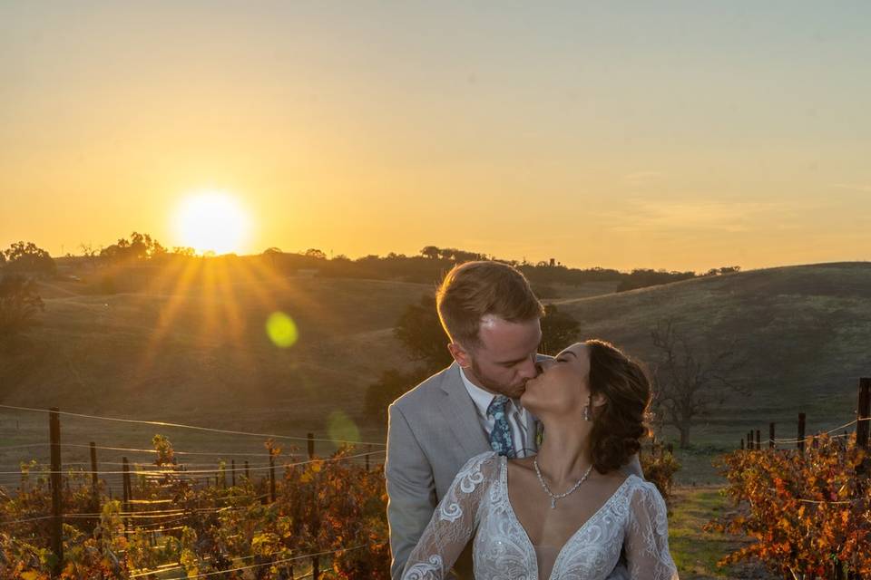 Ella's Vineyard