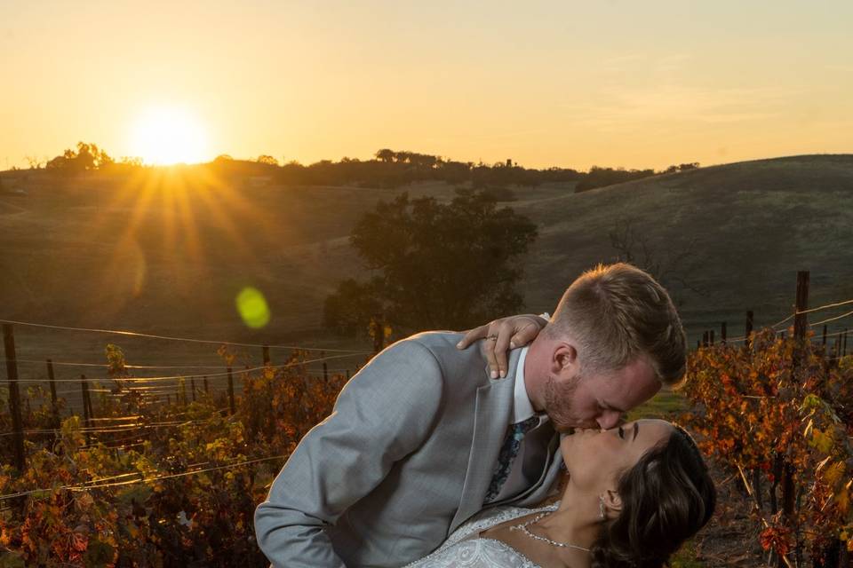 Ella's Vineyard
