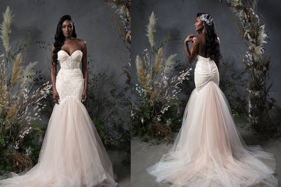 Find the gown of your dreams.
