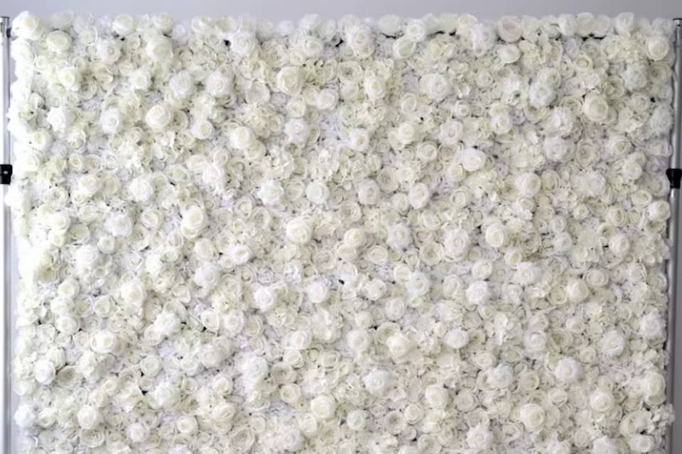 Purewhite rose wall