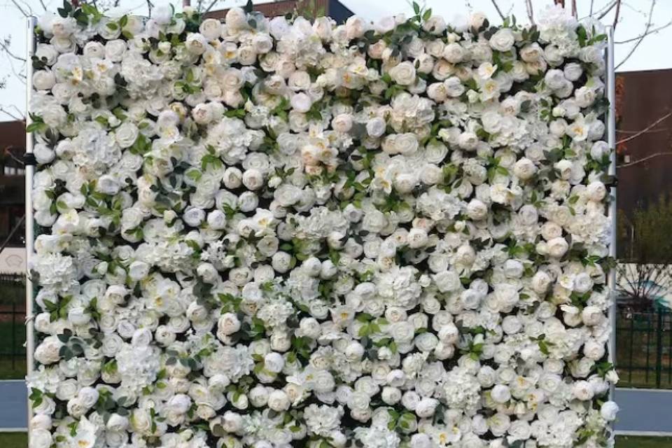 White flower wall with greener