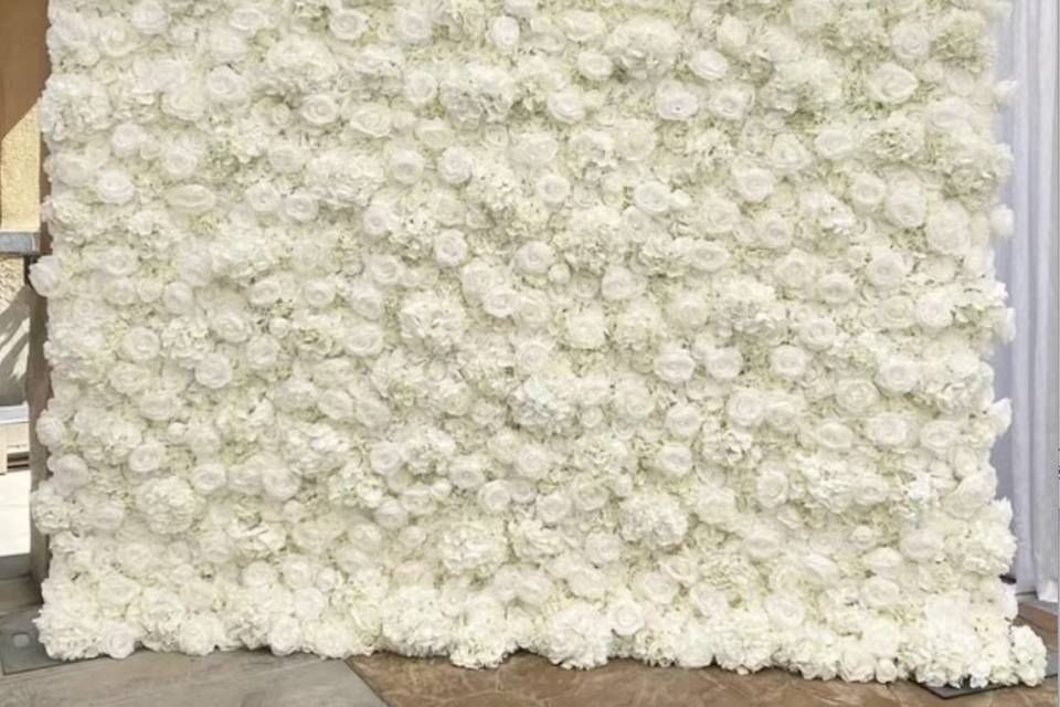 Ivory rose wall