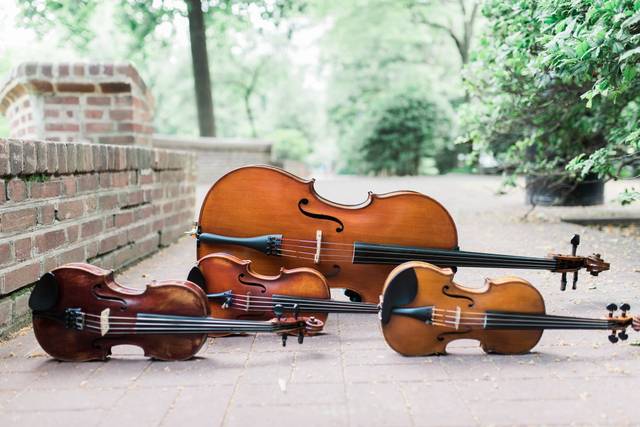 The instruments