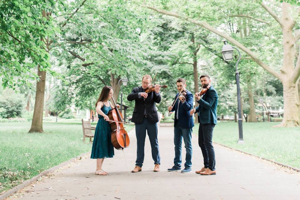 String quartet in the park