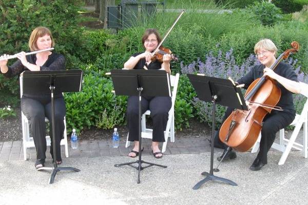 Flute/violin/cello trio at franklin park conservatory west terrace