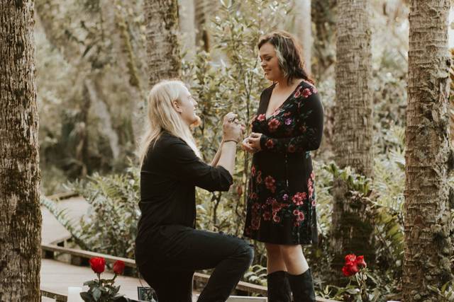 Proposal