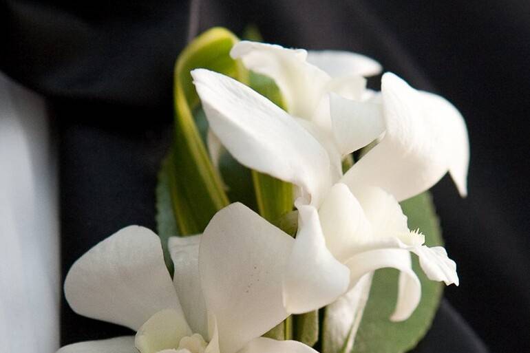 DESIGNS BY JANICE FLORIST