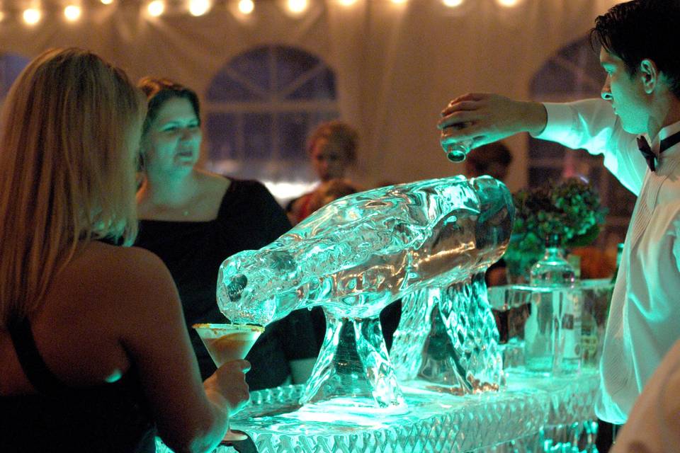 Custom Martini Luge