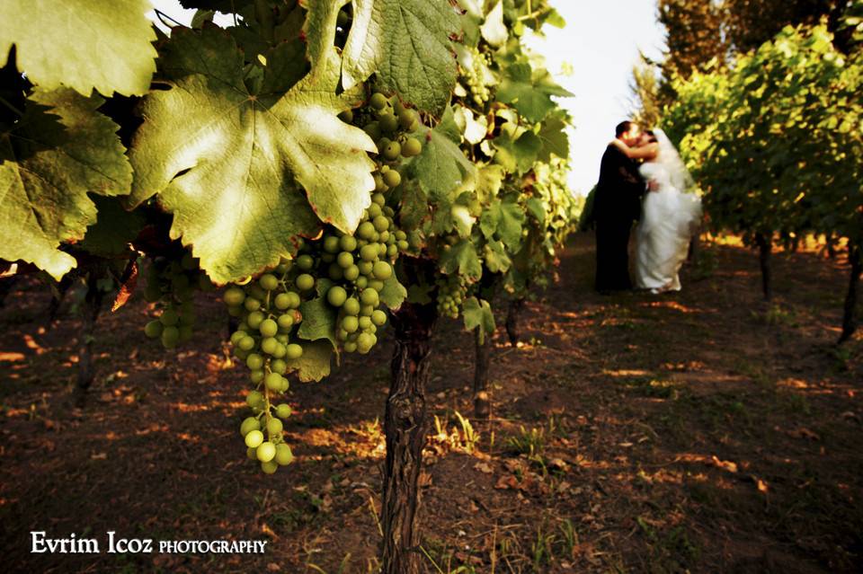 McMenamins Edgefield Reviews - Troutdale, OR - Wedding Wire