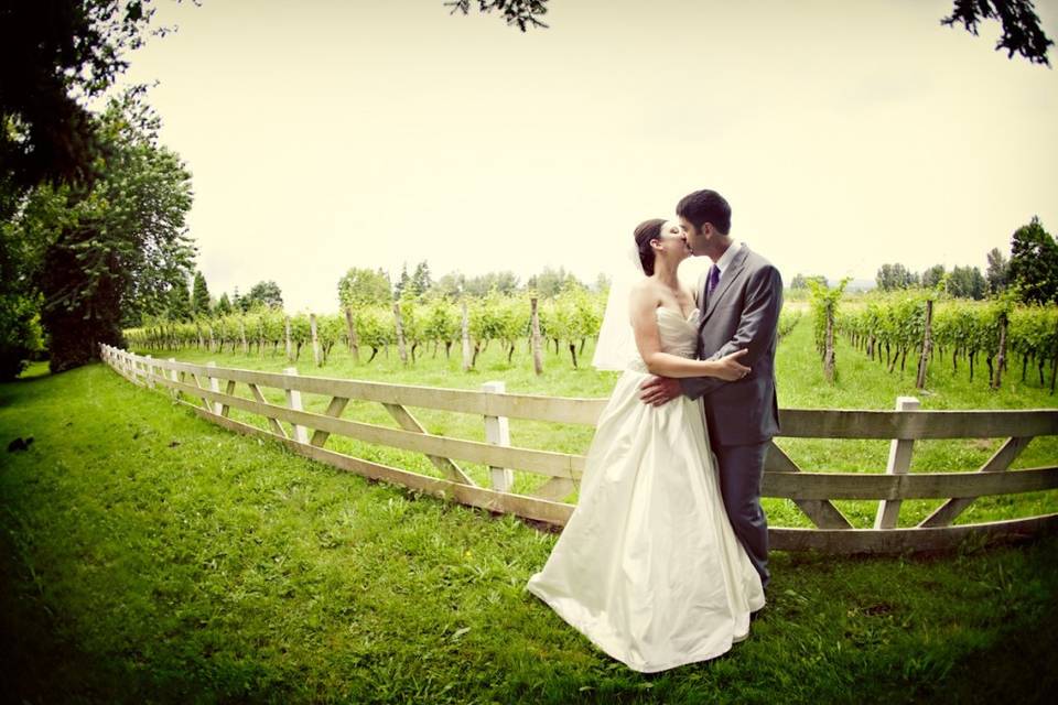 Pinot Gris Vineyard at McMenamins Edgefield