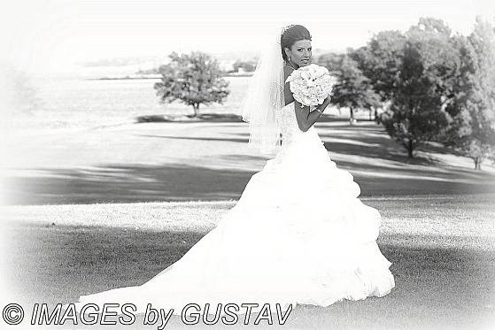 IMAGES by GUSTAV