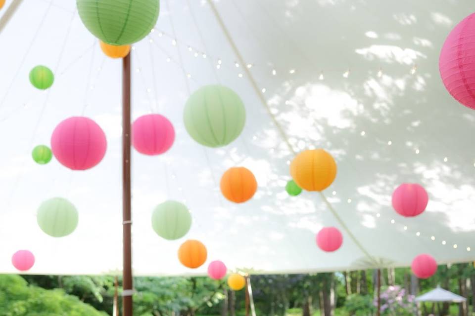 Color Tented Wedding