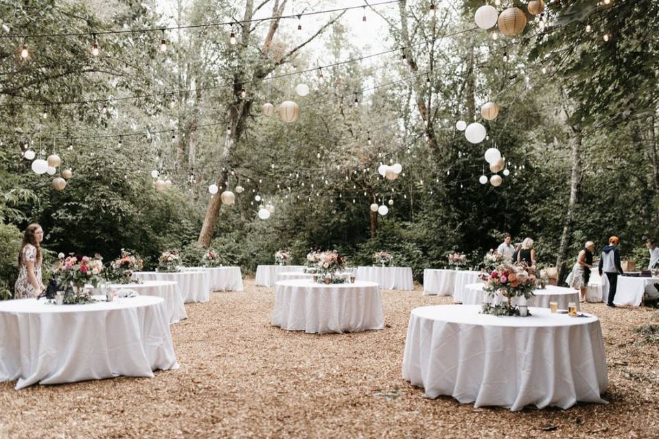 Centerpieces and Paper Lantern