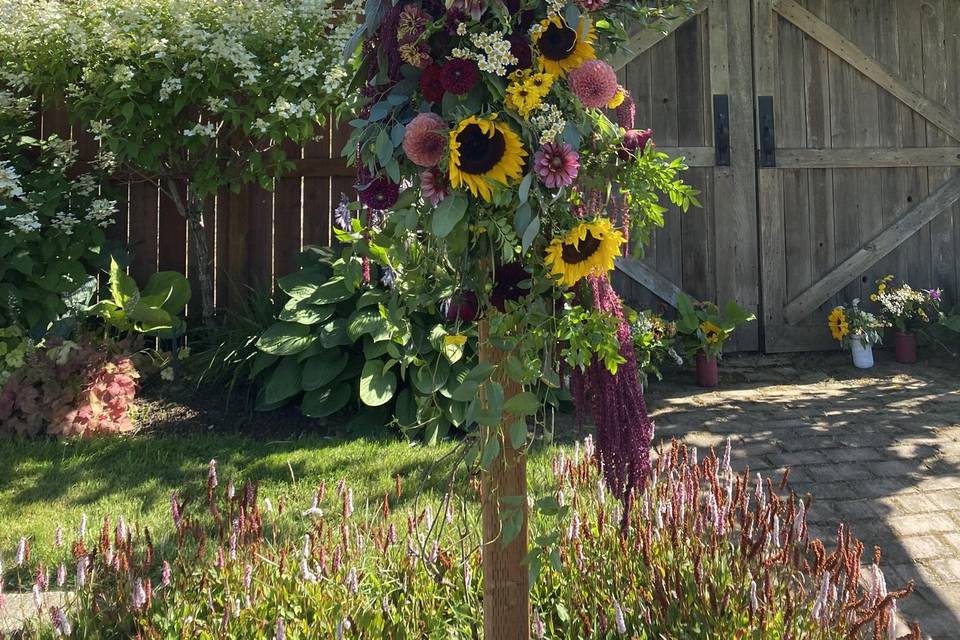 Sunflower arbor