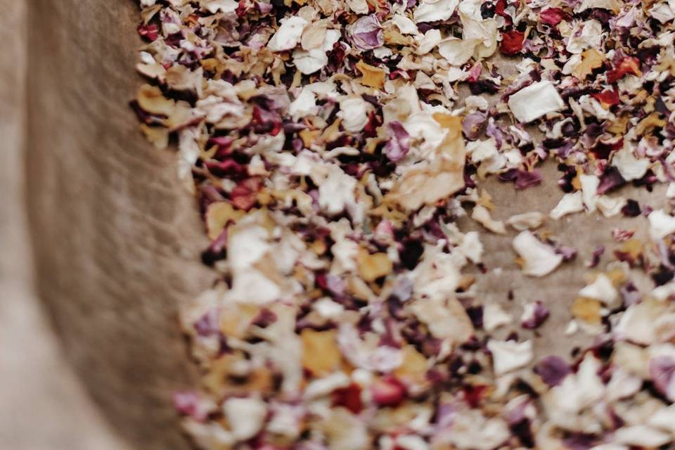 Rose and Lavender Confetti