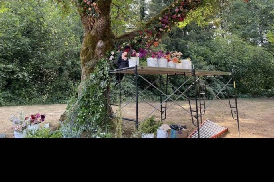 Ceremony Tree Set Up