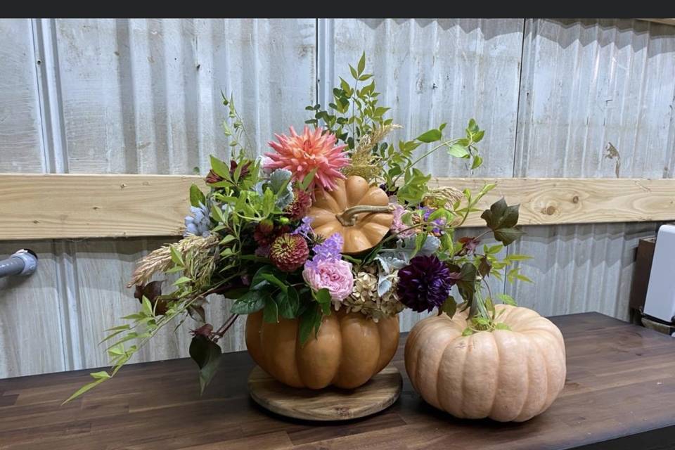 Pumpkin Arrangement