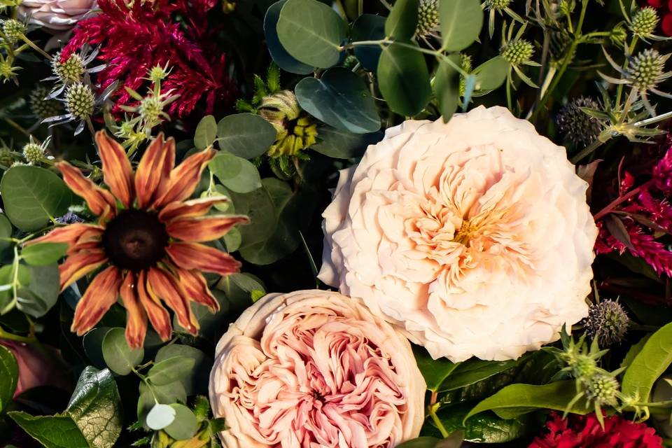 Garden Rose and Rudbeckia