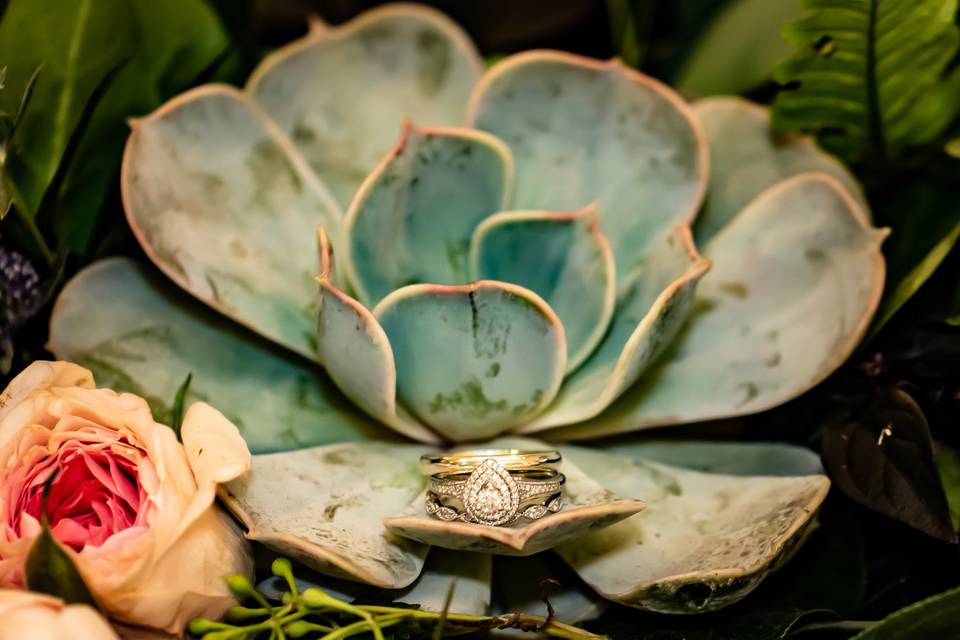 Succulent Wedding