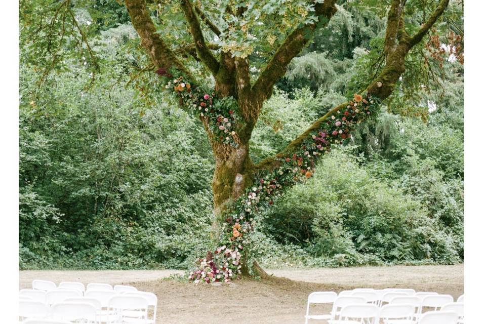 Ceremony Tree