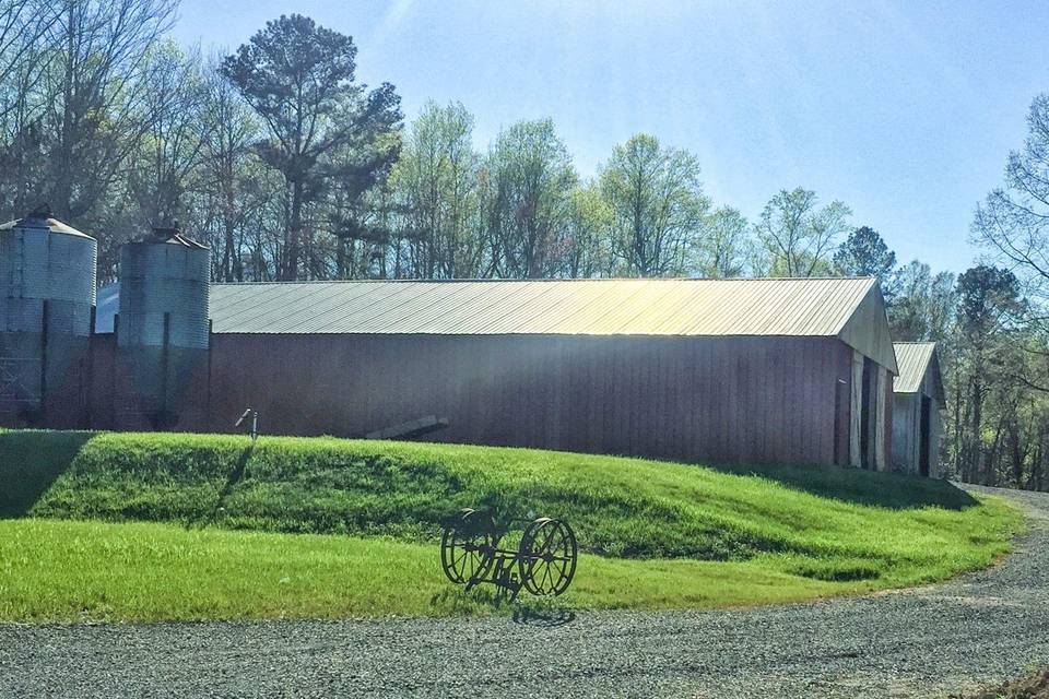 The Old Greenhouse