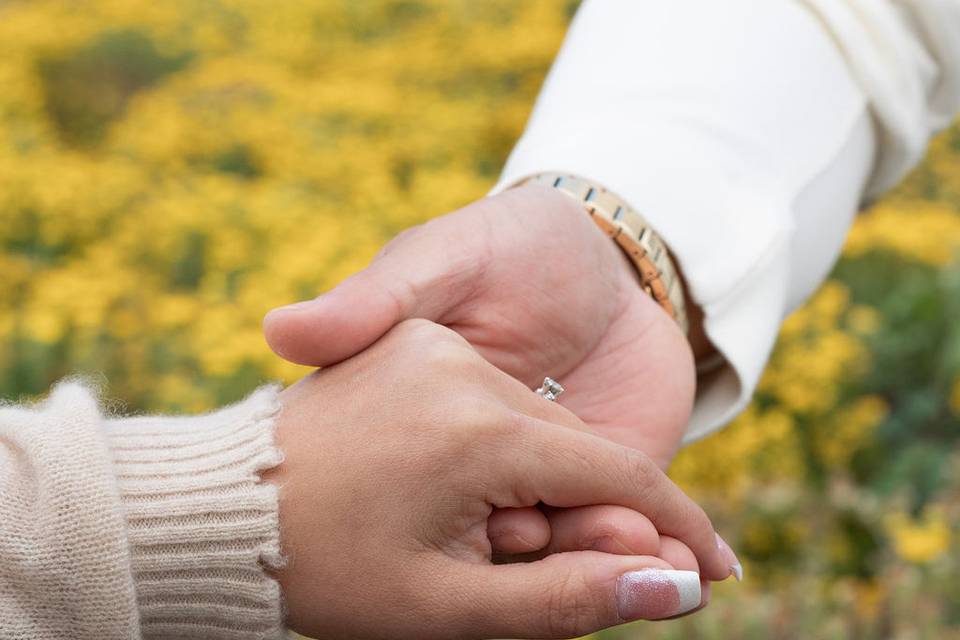 Engagement - Haley & Gabriel