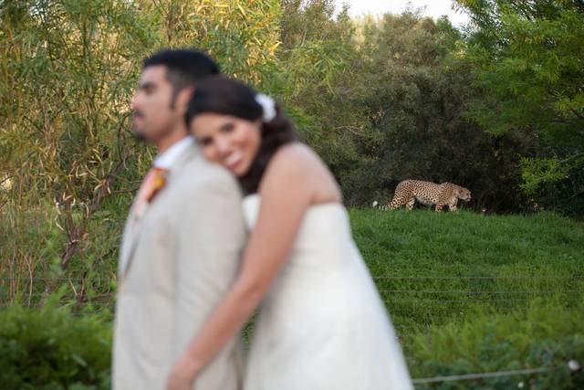 Wedding couple