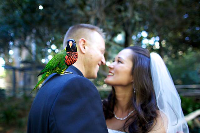 Wedding couple