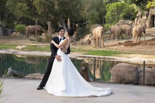Mkutano Elephants