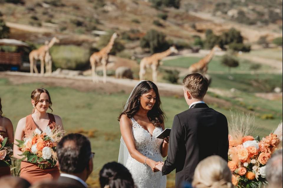 Kijamii Ceremony Giraffes