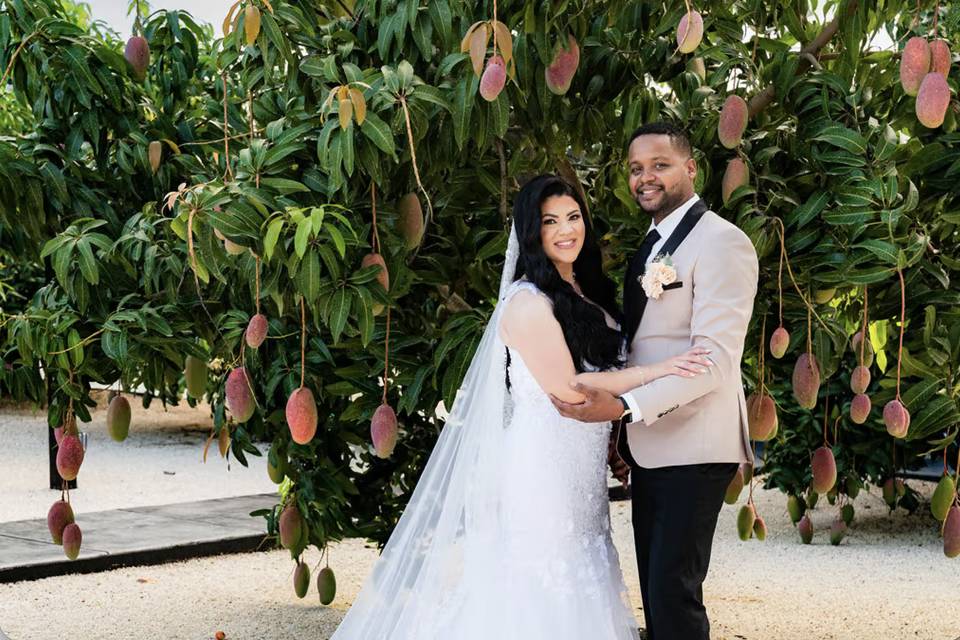 Mango Grove