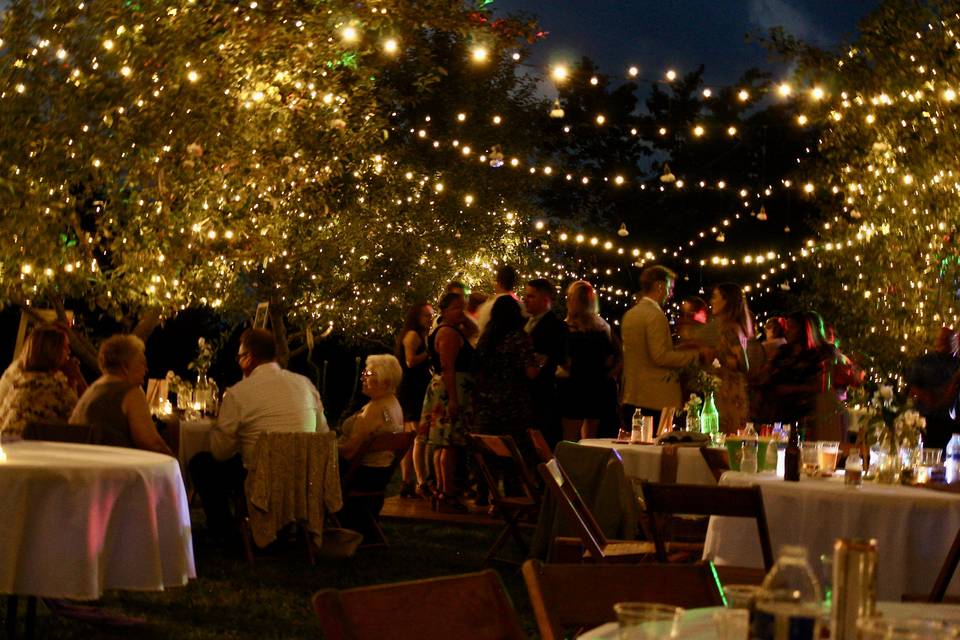 Enchanted Orchard Reception