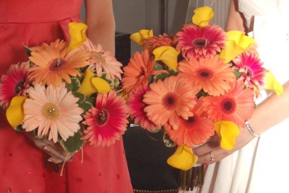 Gerbera daisies chosen to coordinate with guava colored bridesmaids gowns.