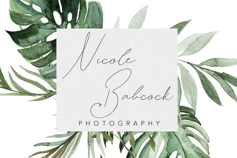 Nicole Babcock Photography