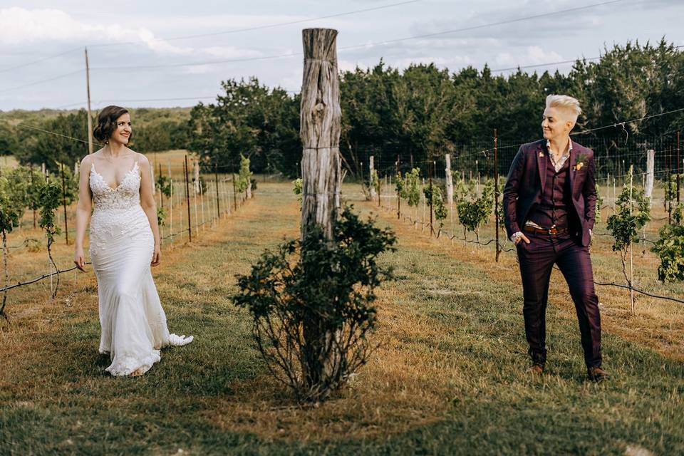 Couples portraits in vineyard