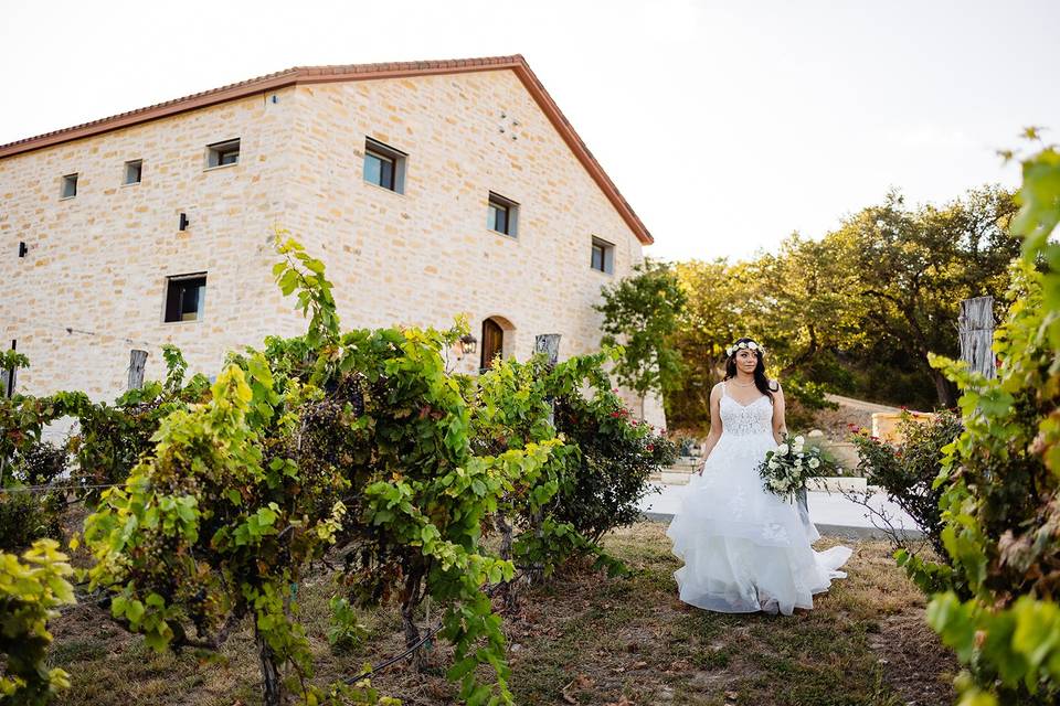 Bride walking through vineyard