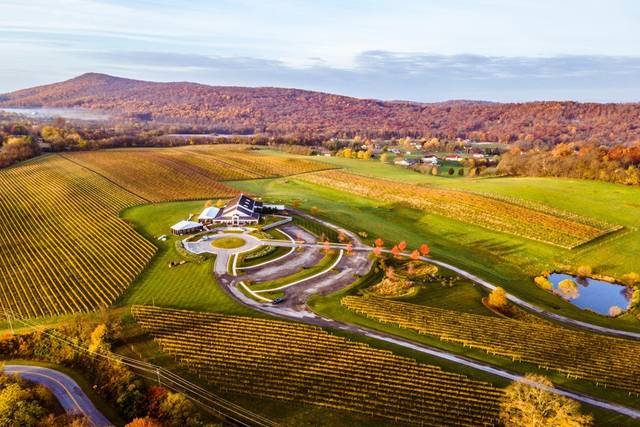 Big Cork Vineyards