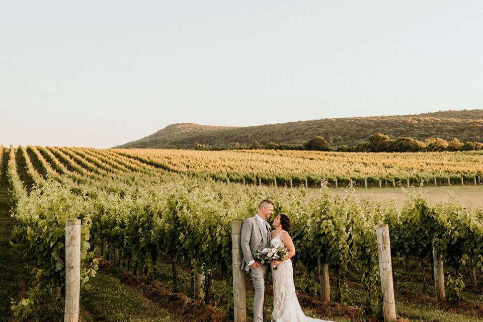 June Vineyard Wedding