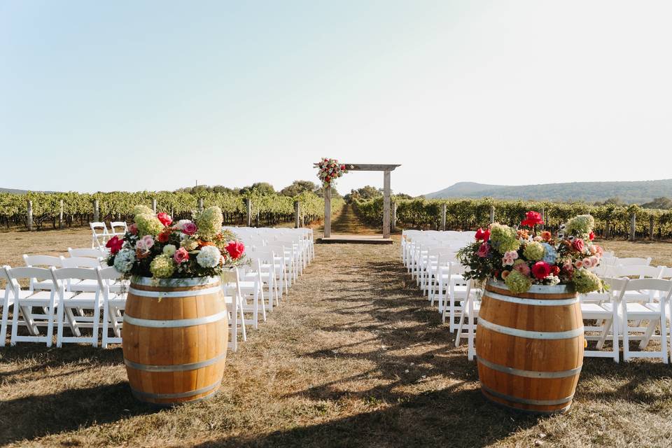 Lovely Vision Photo