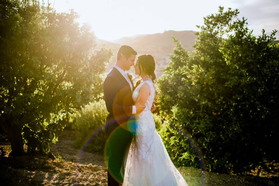 Quail Ranch Wedding